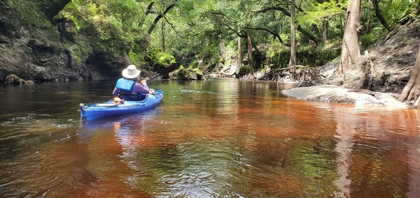 [Tea-colored water, 12:23:45, 30.6056636, -83.0741494]