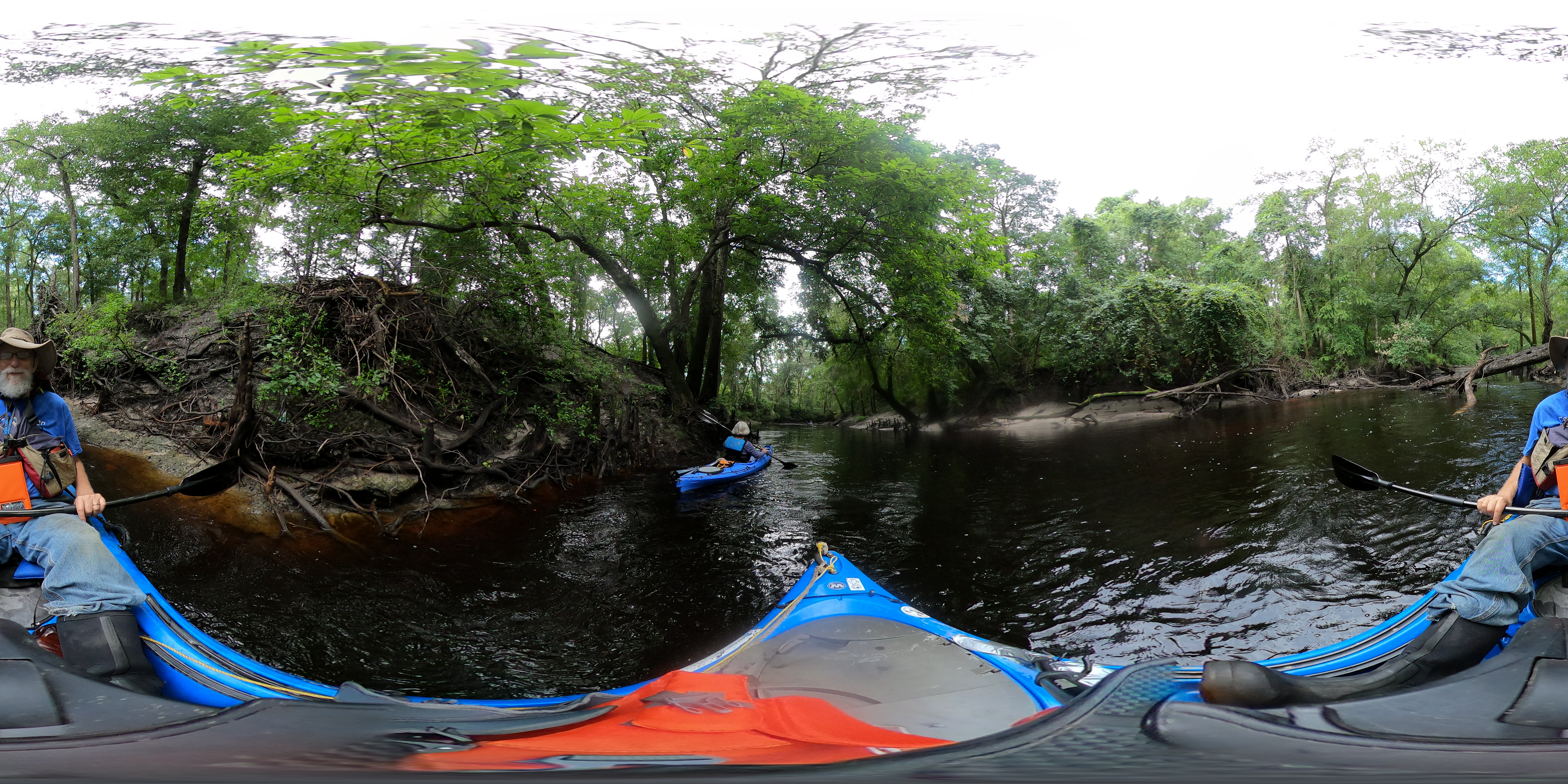 After Rogers Deadfall, 10:30:26, 30.6243231, -83.0893709