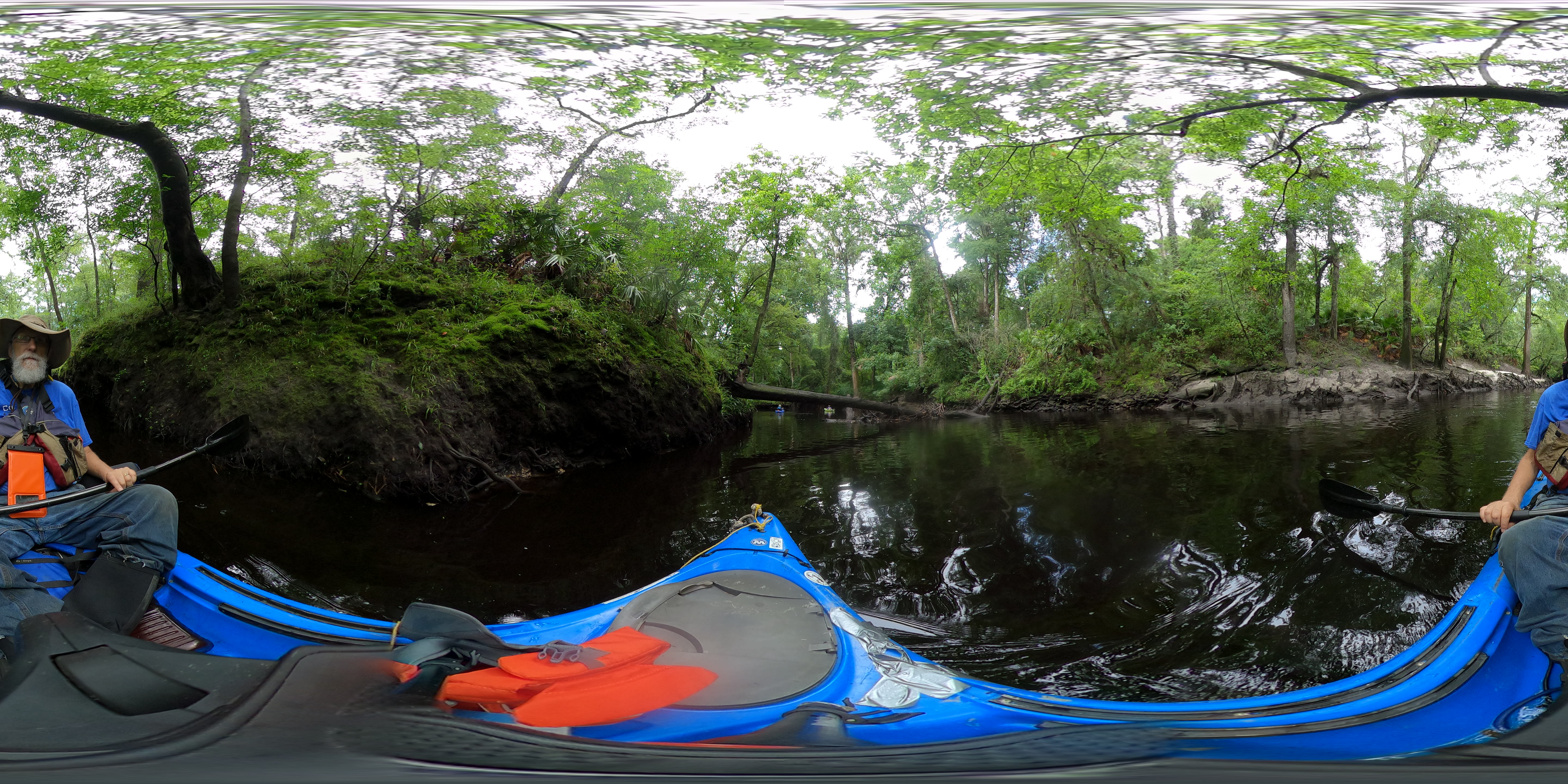 Approaching First Florida Deadfall, 11:06:16, 30.6189187, -83.0817049