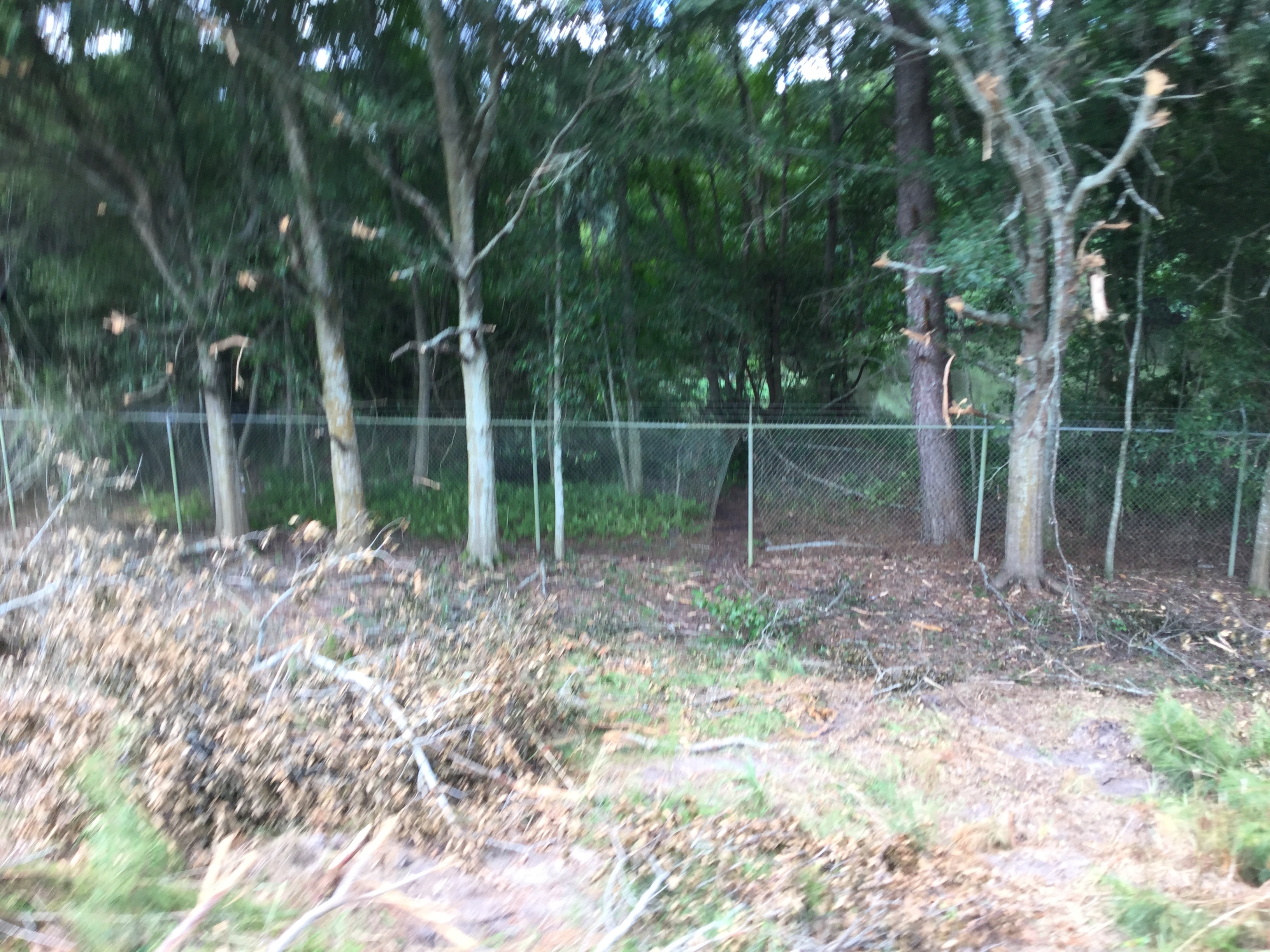 Hole in fence, large Quitman sewage settling pond, NE side, 2022:07:26 15:34:56, 30.7923556, -83.5403222