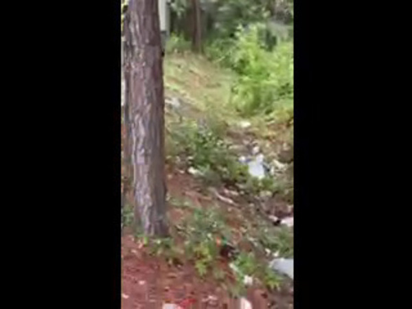 [Trash down ditch]