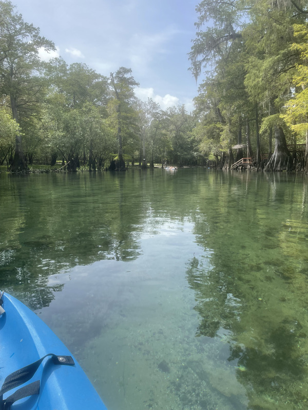 [Point Park, Ichetucknee River @ SW Riverside Ave. 2022-08-12]