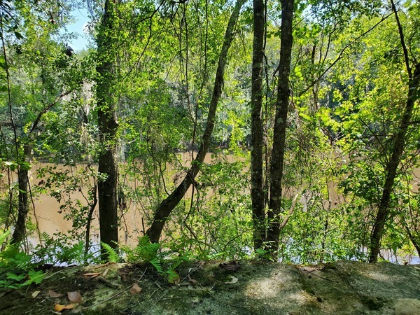 Old Bellville Bridge remains barely visible from abutment, 12:11:01, 30.5957447, -83.2598139