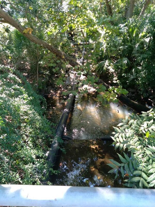 [Pipe and creek, 30.845904, -83.290971]