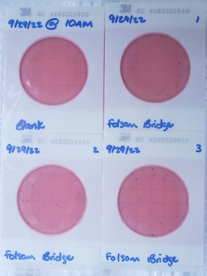 [Plates, Folsom Bridge Landing 2022-09-29]