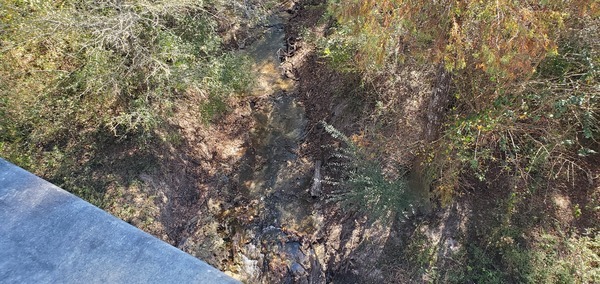 [Closer out of the woods Ziegler Creek? 13:36:32, 30.948845, -83.271743]