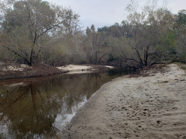 [Folsom Bridge Landing, Little River @ GA 122 2022-11-17]