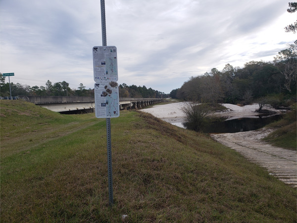 [Lakeland Boat Ramp, Alapaha River @ GA 122 2022-11-17]