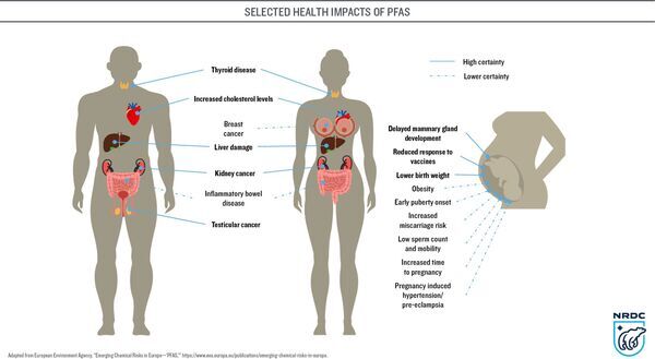 [PFAS health impacts --Credit: NRDC Source: European Environment Agency, Emerging Chemical Risks in Europe—PFAS]