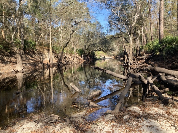 [Staten Road upstream, Withlacoochee River @ Staten Road 2022-12-06]