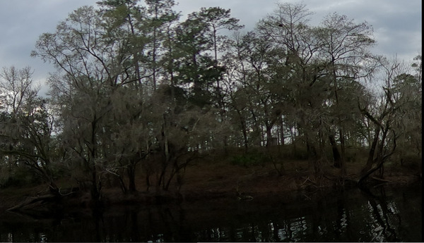 [Godwin Bluff Hunt Shack, 14:52:44, 30.6784100, -83.4187608]