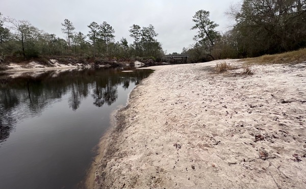 [Naylor Park Beach, Alapaha River @ US 84 2022-12-20]