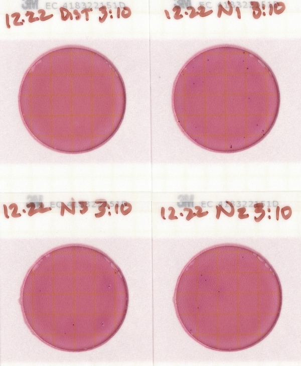 Plates, Nankin Boat Ramp 2022-12-22