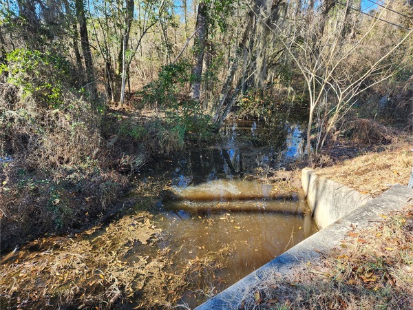 [Beaverdam Creek @ Main Street, Beaverdam Creek @ Main Street 2023-01-06]