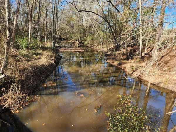 [Beaverdam Creek @ Park Street, Beaverdam Creek @ Park Street 2023-01-06]