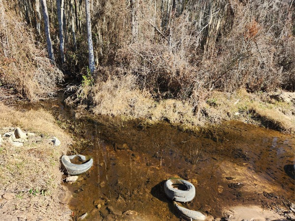 [Beaverdam Creek @ Ramblinwood Road, Beaverdam Creek @ Ramblinwood Road 2023-01-06]