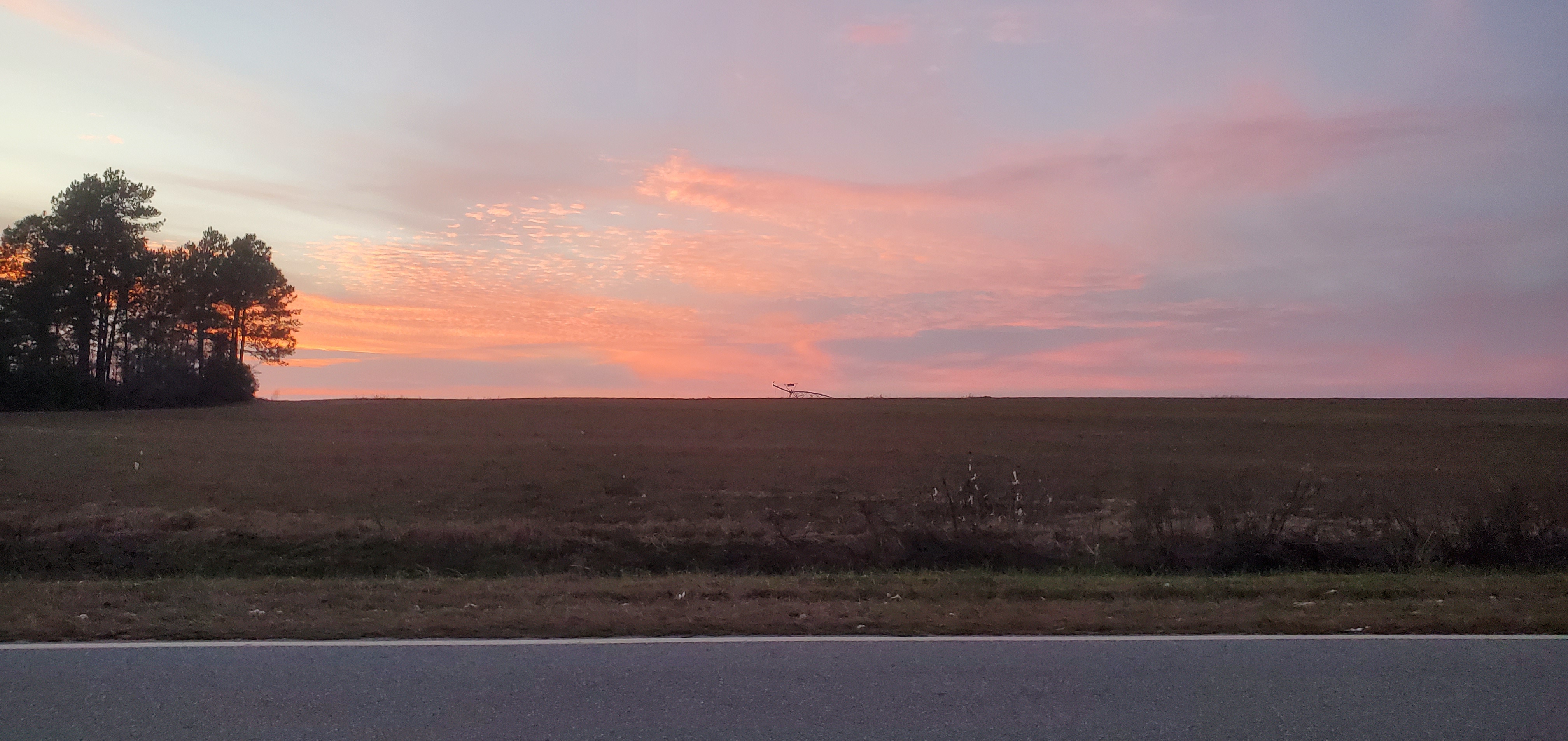 Cotton field in project, Lawson Pond Road s. of Guess Road, Howard I. Lawson, 18:05:04, 30.9524756, -83.4595927
