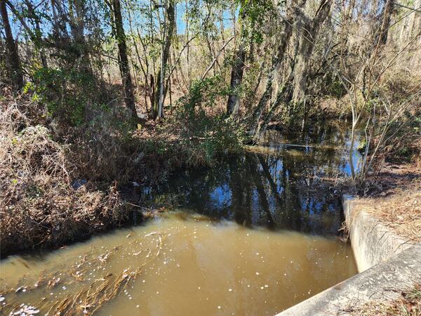 [Beaverdam Creek @ Main Street, Beaverdam Creek @ Main Street 2023-01-26]