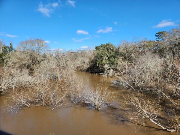 [Folsom Bridge Landing, Little River @ GA 122 2023-01-26]