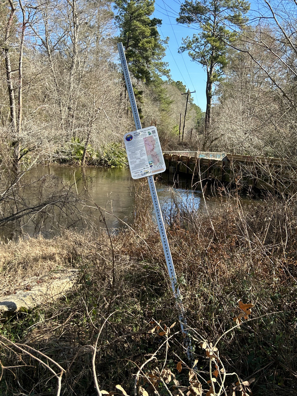 [Franklinville, Withlacoochee River, 2023-01-26]