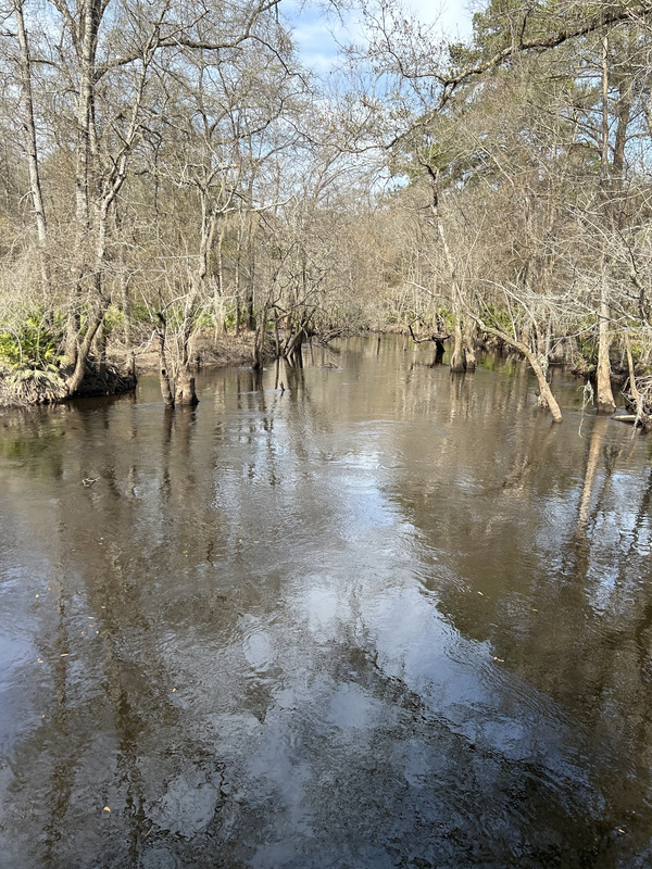 [Franklinvvile, Withlacoochee River @ Frankinville Road 2023-02-09]