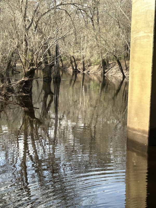 [Skipper Bridge, Withlacoochee River @ Skipper Bridge Road 2023-02-09]