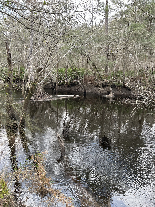 [Staten Road, Withlacoochee River @ Staten Road 2023-02-09]