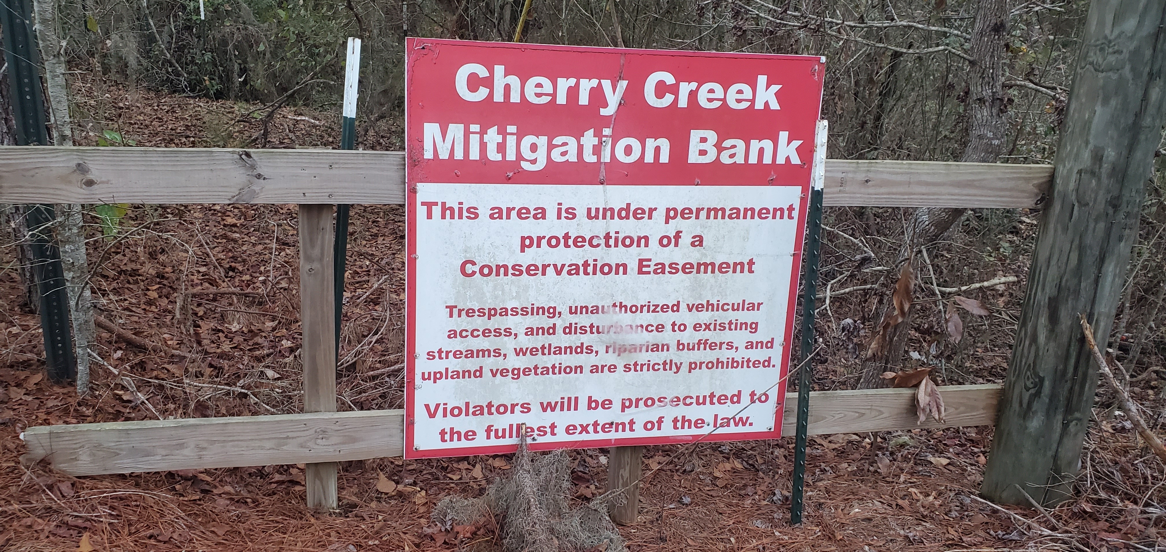 Cherry Creek Mitigation Bank, 2023:02:12 18:12:05, 30.9044701, -83.3019675