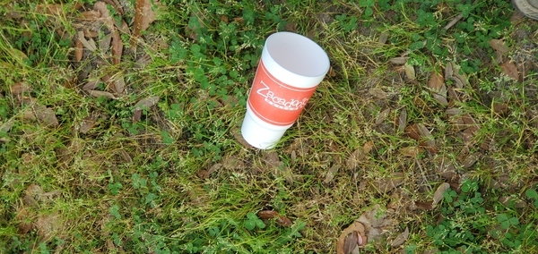 [Zacadoos cup, One Mile Branch, upstream from Lee Street, 15:57:51, 30.8485500, -83.2779730]