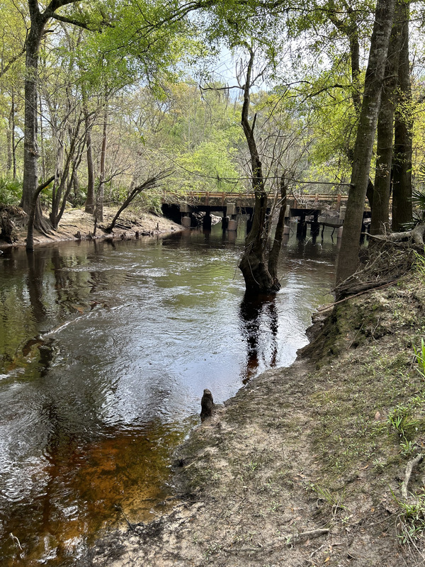 [Franklinville, Withlacoochee River @ Frankinville Road 2023-03-09]