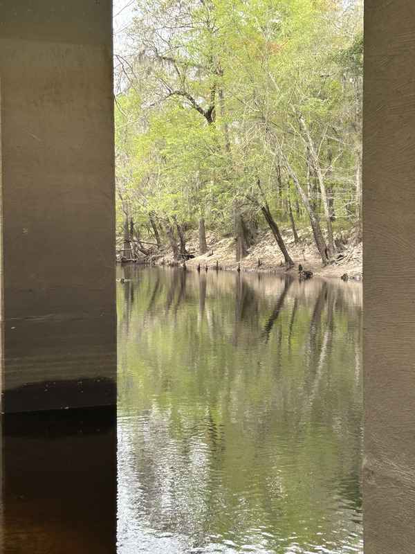 [Skipper Bridge, Withlacoochee River @ Skipper Bridge Road 2023-03-09]