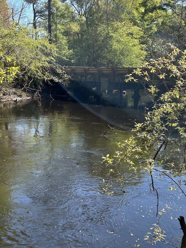 [Franklinville, Withlacoochee River @ Frankinville Road 2023-03-16]