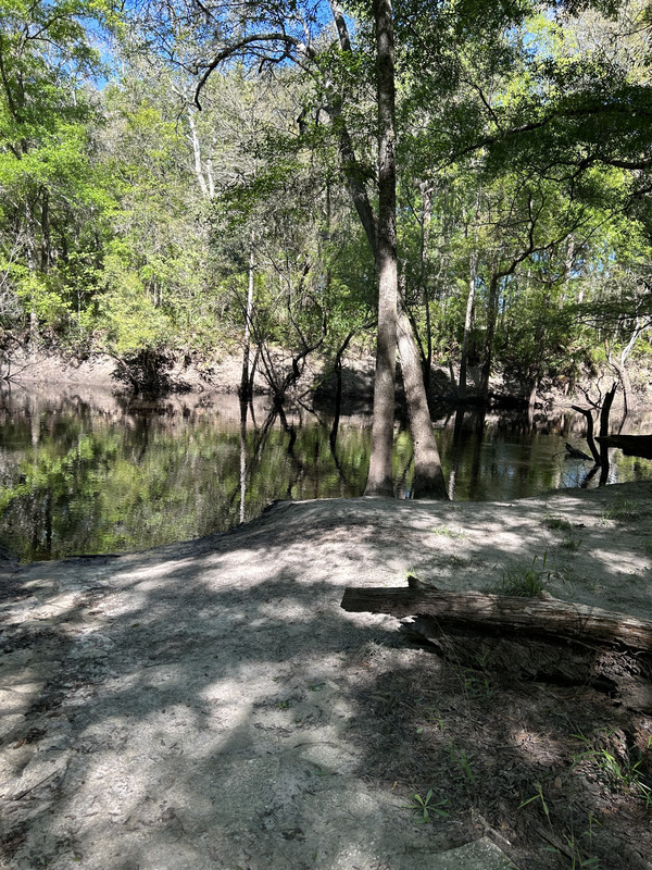 [Staten Road, Withlacoochee River @ Staten Road 2023-03-16]