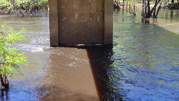 [Movie: Flow and Water Level, Nankin Boat Ramp, Withlacoochee River, 2023-03-16]