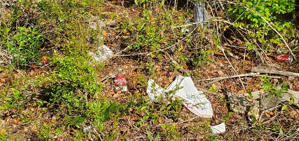 Trash, 2023:03:21 17:17:17, 31.0963105, -83.3163110