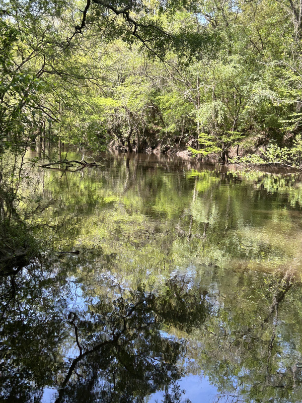 [Staten Road, Withlacoochee River @ Staten Road 2023-03-30]