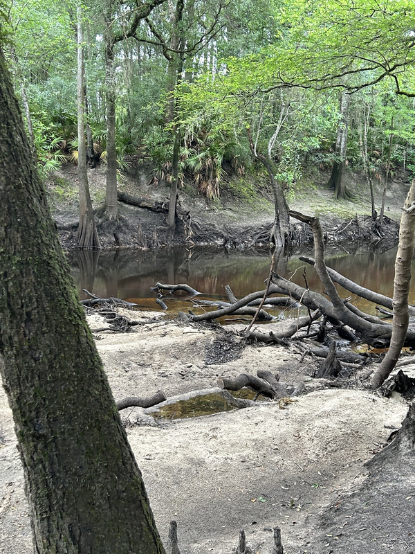 [Staten Road, Withlacoochee River @ Staten Road 2023-05-11]