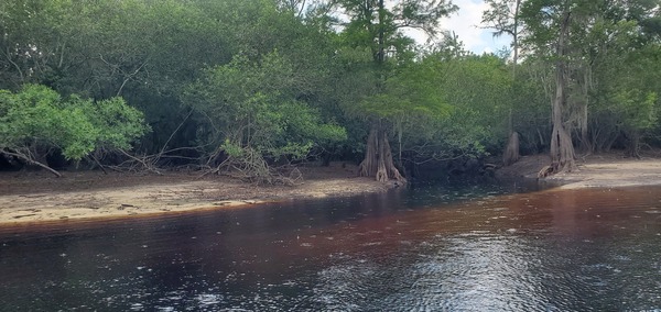 Suwannee River Headwaters Forest – Georgia - The Conservation Fund