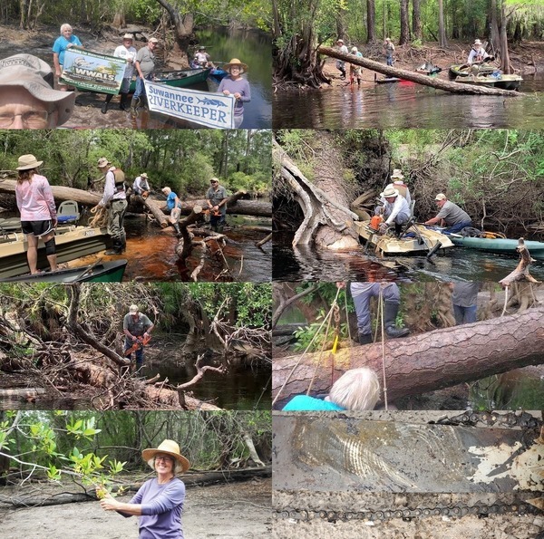 [Chainsawing deadfalls, Suwannee River 2023-06-10]