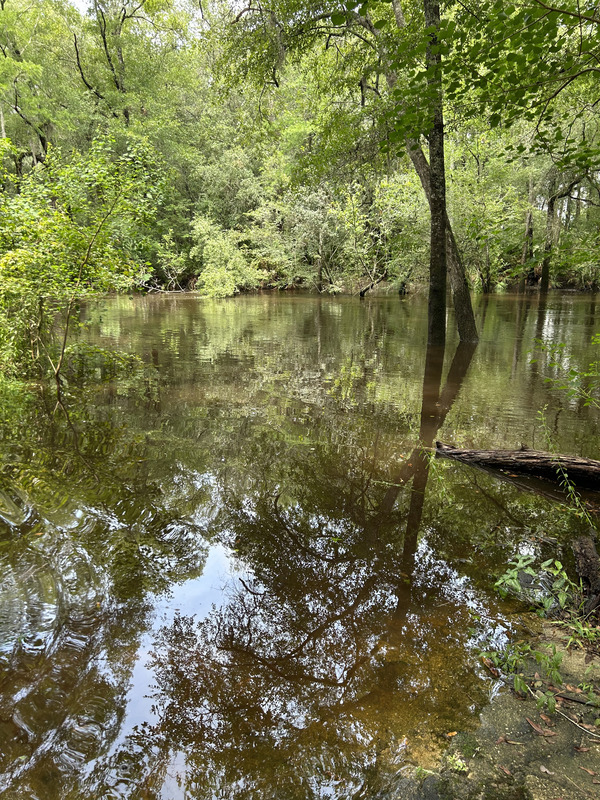 [Staten Road, Withlacoochee River @ Staten Road 2023-06-22]