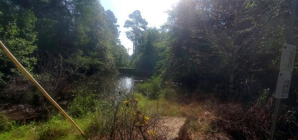 [Withlacoochee River above bottom of Tyler Bridge]