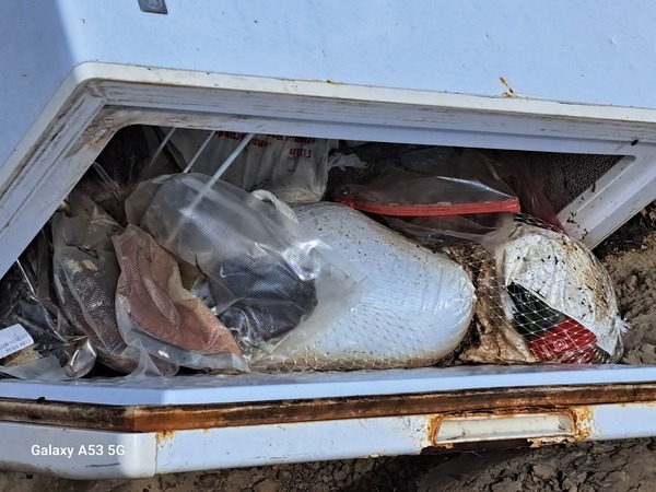 [Meat in freezer --Suzy Hall 2023-07-05]
