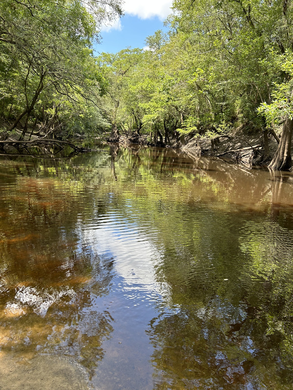 [Staten Road, Withlacoochee River @ Staten Road 2023-07-13]