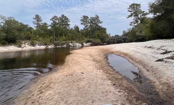 [Naylor Beach, Alapaha River @ US 82 2023-07-20]