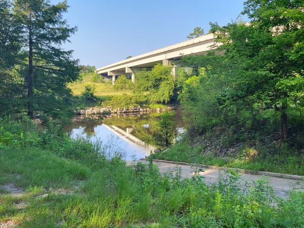 [State Line Boat Ramp, Withlacoochee River @ Madison Highway 2023-07-20]