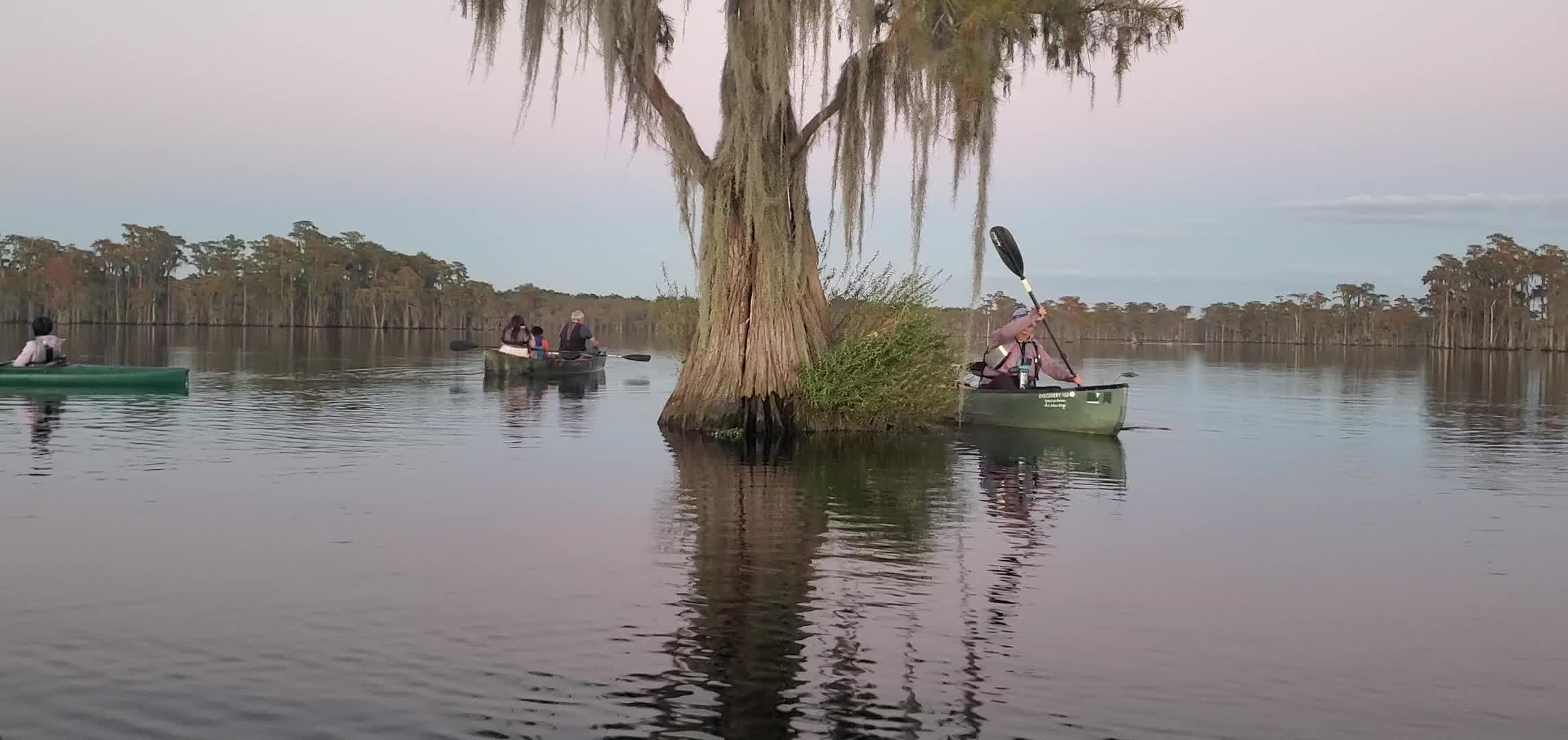 Movie: Smell the bats (128M)