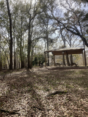 [Point Park other, Ichetucknee River @ SW Riverside Ave. 2024-01-17]