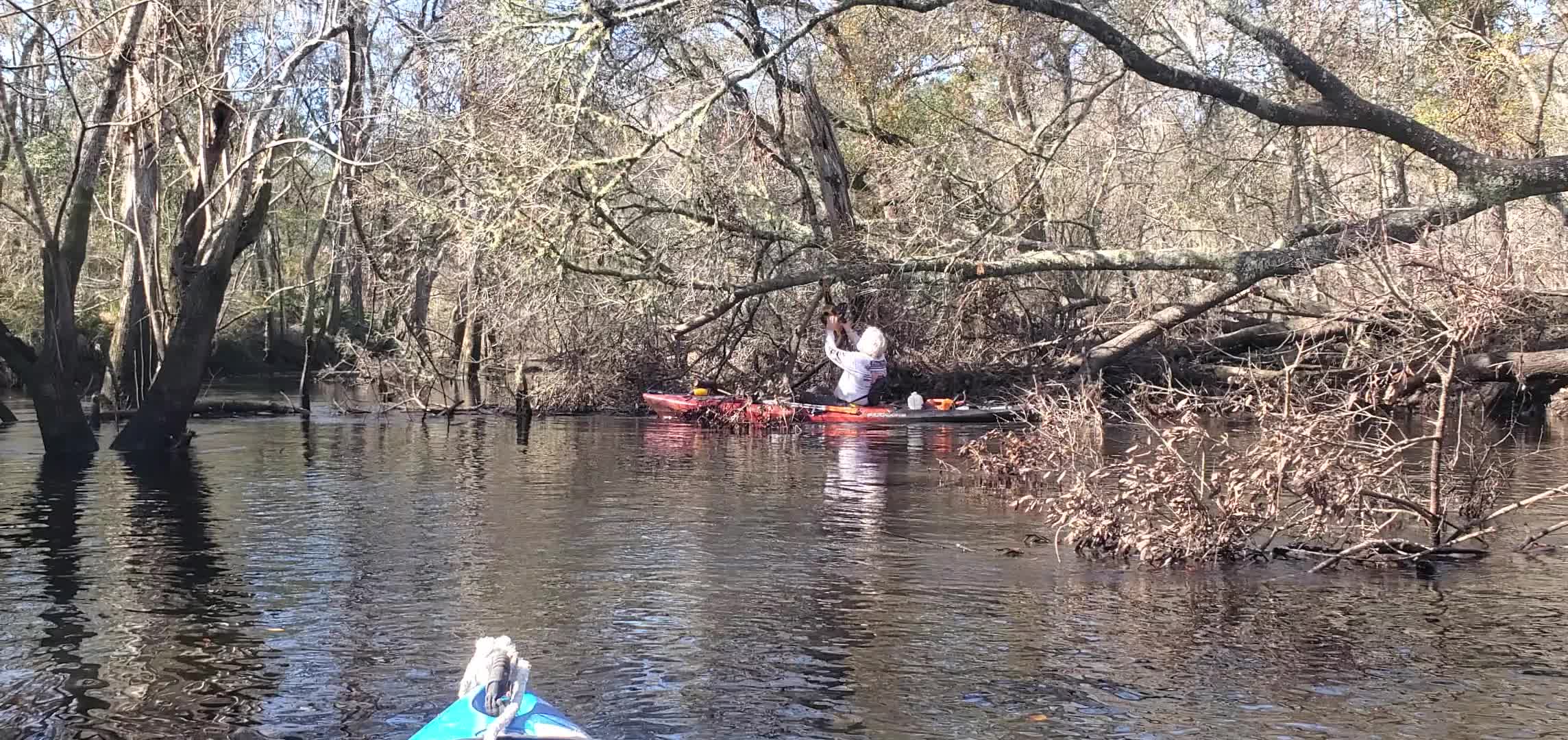 Movie: Phil sawing over his head, 10:53:52, 30.8814561, -83.3254131 (26M)