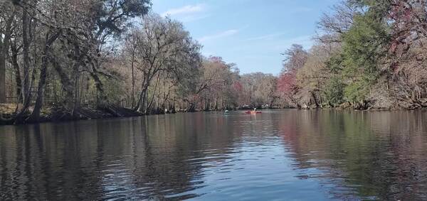 Movie: Approaching Ginnie Springs Private Park, people camping to the edge of the Santa Fe River, 13:17:42, 29.8341112, -82.6916270 (27M)