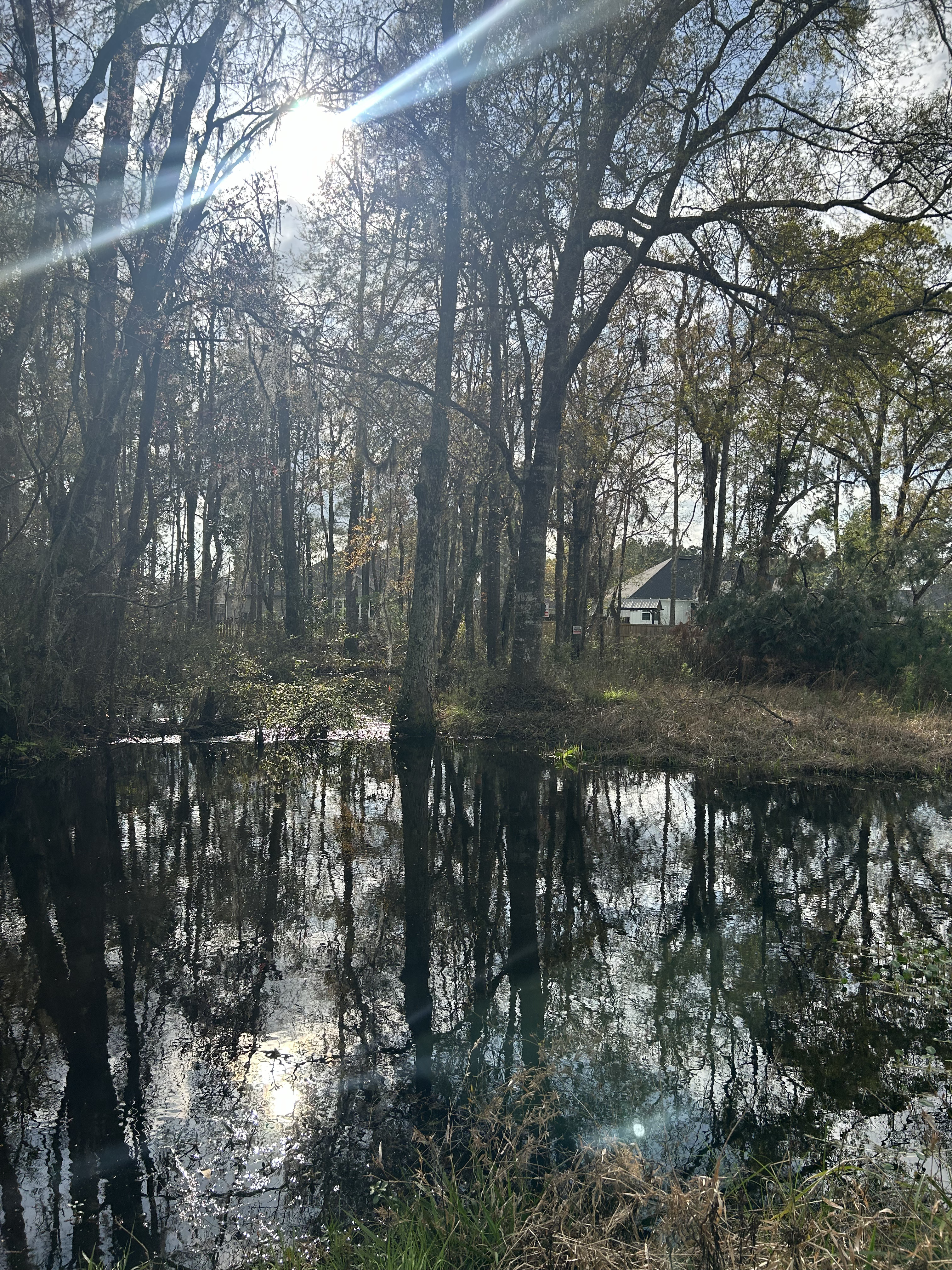 Franks Creek other, @ GA 122 2024-03-06